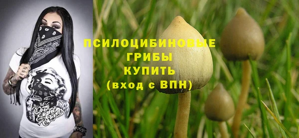 мет Белокуриха